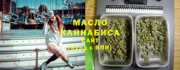 дмт Костерёво