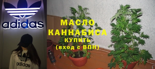 дмт Костерёво