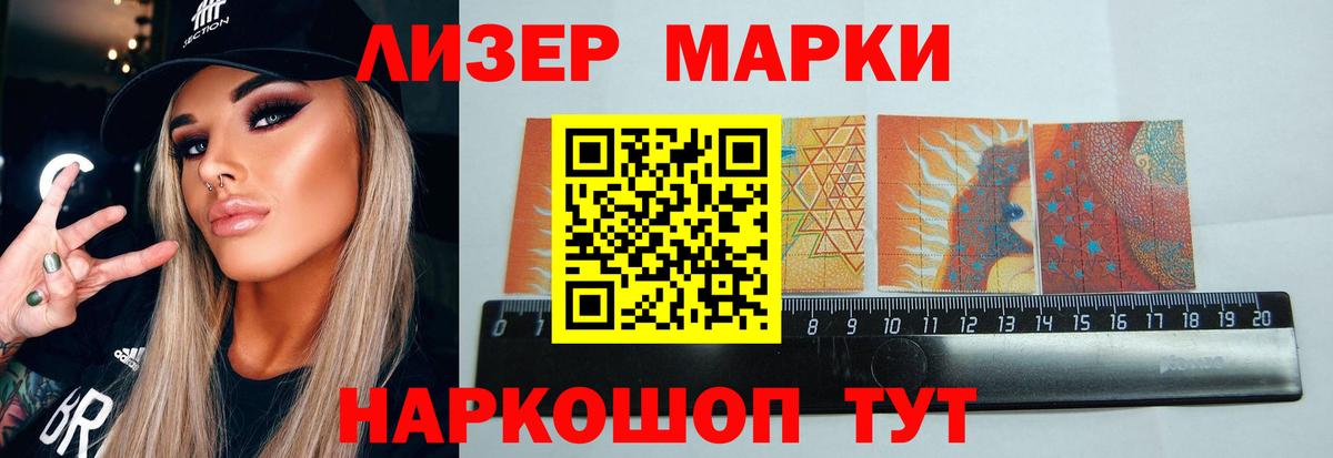 APVP Новошахтинск