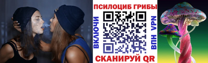 кракен зеркало  где можно купить наркотик  Новошахтинск  Псилоцибиновые грибы Psilocybe 