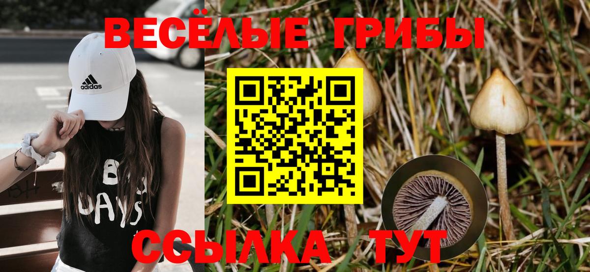 Галлюциногенные грибы прущие грибы Новошахтинск