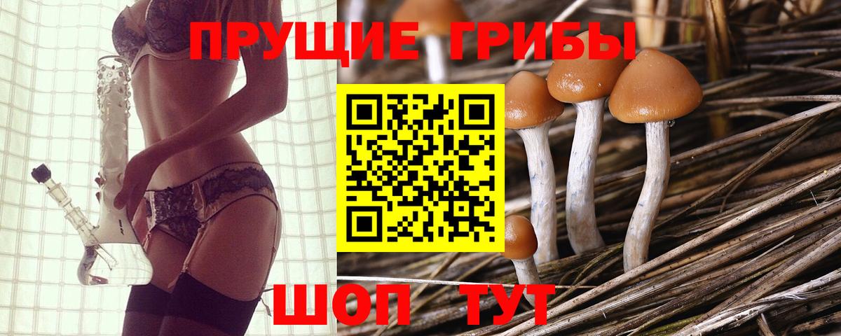 Галлюциногенные грибы мицелий  где купить наркоту  Новошахтинск  Вход с VPN 