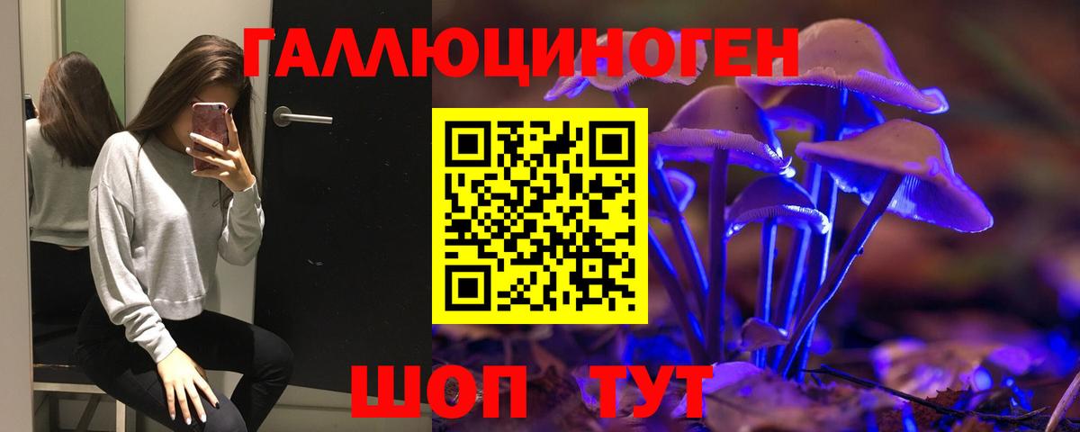 Псилоцибиновые грибы Psilocybine cubensis  сколько стоит  Новошахтинск 